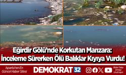 Eğirdir Gölü’nde Korkutan Manzara: İnceleme Sürerken Ölü Balıklar Kıyıya Vurdu!