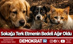 Sokağa Terk Etmenin Bedeli Ağır Oldu