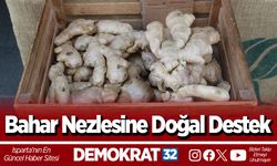 Bahar Nezlesine Doğal Destek