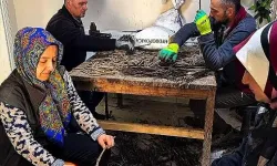 Çelik Ve Fidan Hazırlık Çalışmaları Sürüyor