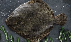 Nisan Ayının Vazgeçilmezi: Kalkan Balığı Sofralarda Şenleniyor