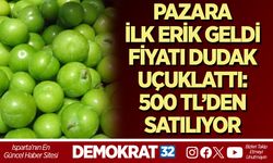 PAZARA İLK ERİK GELDİ, FİYATI DUDAK UÇUKLATTI: 500 TL’DEN SATILIYOR
