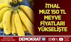 İTHAL MUZ 150 TL, MEYVE FİYATLARI YÜKSELİŞTE