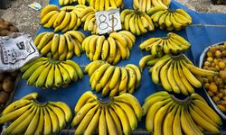 Isparta’da Yaz Meyveleri Yüksek Fiyatlarla Tezgâhlarda
