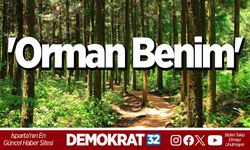 'Orman Benim'