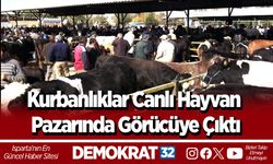 Kurbanlıklar Canlı Hayvan Pazarında Görücüye Çıktı