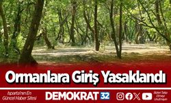 Ormanlara Giriş Yasaklandı