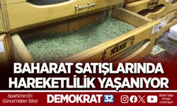 BAHARAT SATIŞLARINDA HAREKETLİLİK YAŞANIYOR