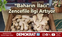 “Baharın İlacı” Zencefile İlgi Artıyor