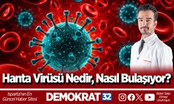 “Hanta Virüsü Nedir, Nasıl Bulaşıyor?