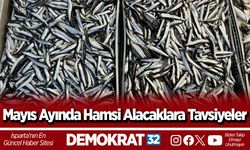 Mayıs Ayında Hamsi Alacaklara Tavsiyeler