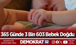 365 Günde 3 Bin 603 Bebek Doğdu
