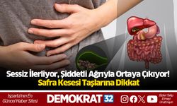 Sessiz İlerliyor, Şiddetli Ağrıyla Ortaya Çıkıyor! Safra Kesesi Taşlarına Dikkat