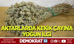 AKTARLARDA KEKİK ÇAYINA YOĞUN İLGİ