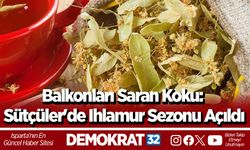 Balkonları Saran Koku: Sütçüler'de Ihlamur Sezonu Açıldı
