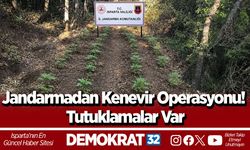 Jandarmadan Kenevir Operasyonu! Tutuklamalar Var