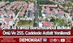 Şehit Ali Yılmaz Borsa İstanbul İlkokulu Önü Ve 255. Caddede Asfalt Yenilendi