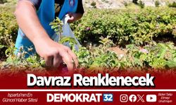 Davraz Renklenecek