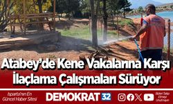 Atabey’de Kene Vakalarına Karşı İlaçlama Çalışmaları Sürüyor