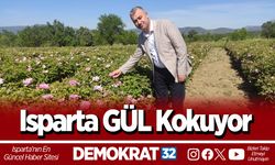 Isparta GÜL Kokuyor