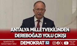 ANTALYA MİLLETVEKİLİNDEN DEREBOĞAZI YOLU ÇIKIŞI