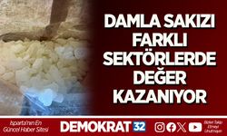DAMLA SAKIZI FARKLI SEKTÖRLERDE DEĞER KAZANIYOR