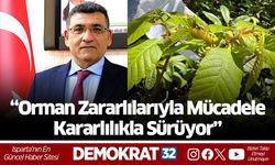 “Orman Zararlılarıyla Mücadele Kararlılıkla Sürüyor”