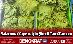 Salamura Yaprak İçin Şimdi Tam Zamanı