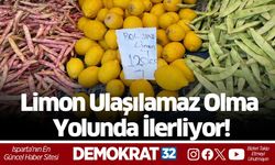 Limon Ulaşılamaz Olma Yolunda İlerliyor!