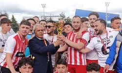 Şampiyon İlavusspor