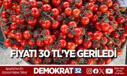FİYATI 30 TL’YE GERİLEDİ