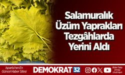 Salamuralık Üzüm Yaprakları Tezgâhlarda Yerini Aldı
