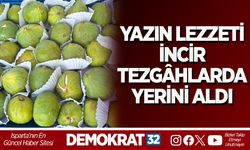 YAZIN LEZZETİ İNCİR TEZGÂHLARDA YERİNİ ALDI