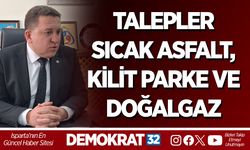 Talepler Sıcak Asfalt, Kilit Parke ve Doğalgaz