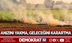 ANIZINI YAKMA, GELECEĞİNİ KARARTMA