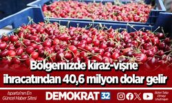 Bölgemizde kiraz-vişne ihracatından 40,6 milyon dolar gelir