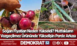 Soğan Fiyatları Neden Yükseldi? Mutfakların Vazgeçilmez Ürününde Yükselişin Perde Arkası