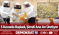 5 Kovanla Başladı, Şimdi Ana Arı Üretiyor