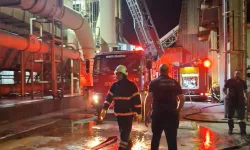 Alevler geceyi aydınlattı; Yangın büyümeden söndürüldü