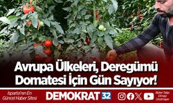 Avrupa Ülkeleri, Deregümü Domatesi İçin Gün Sayıyor!