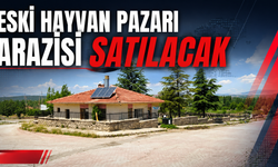 Eski Hayvan Pazarı Arazisi Satılacak