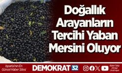 Doğallık Arayanların Tercihi Yaban Mersini Oluyor