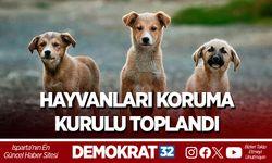 Hayvanları Koruma Kurulu Toplandı