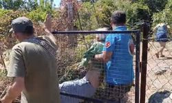 Muğla'da acı haber facıa yaşandı