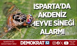 ISPARTA'DA AKDENİZ MEYVE SİNEĞİ ALARMI