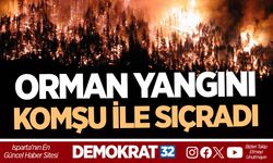 ORMAN YANGINI KOMŞU İLE SIÇRADI