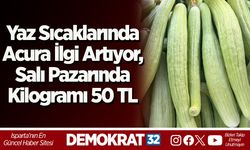 Yaz Sıcaklarında Acura İlgi, Salı Pazarında Kilogramı 50 TL