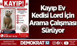Kayıp Ev Kedisi Lord İçin Arama Çalışması Sürüyor