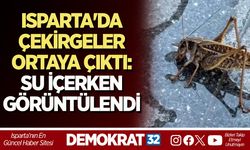 ISPARTA'DA ÇEKİRGELER ORTAYA ÇIKTI: SU İÇERKEN GÖRÜNTÜLENDİ