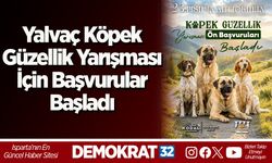 Yalvaç Köpek Güzellik Yarışması İçin Başvurular Başladı